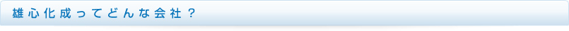 雄心化成ってどんな会社？